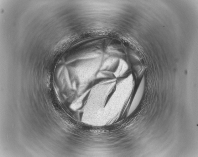 X0000087030693200705141922