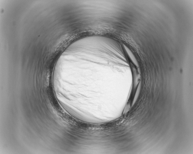 X0000087030694200705141922