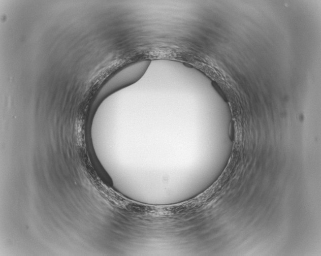 X0000087030696200705141922