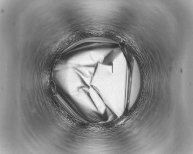 X0000087030697200705141922