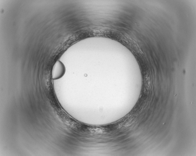 X0000087030698200705141922