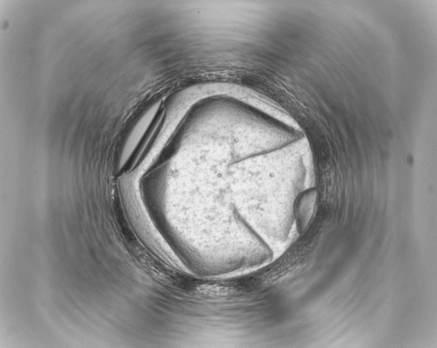 X0000087030699200705141922