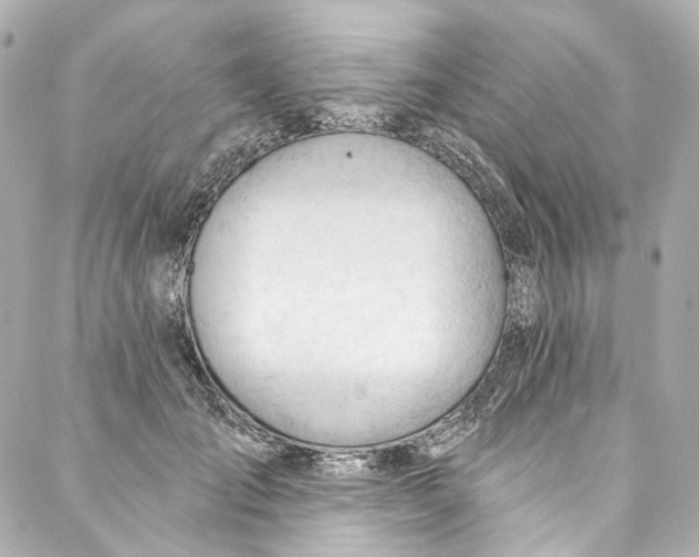 X0000087030701200705141922