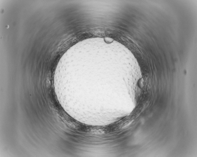 X0000087030702200705141922