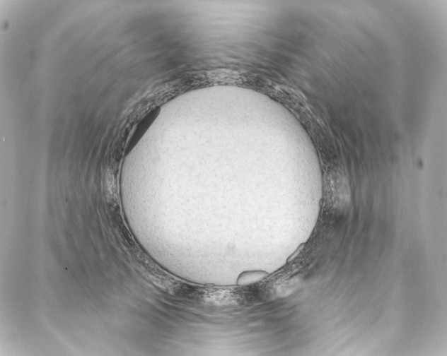 X0000087030705200705141922