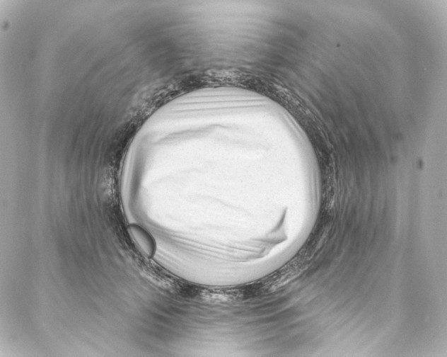 X0000087030706200705141922