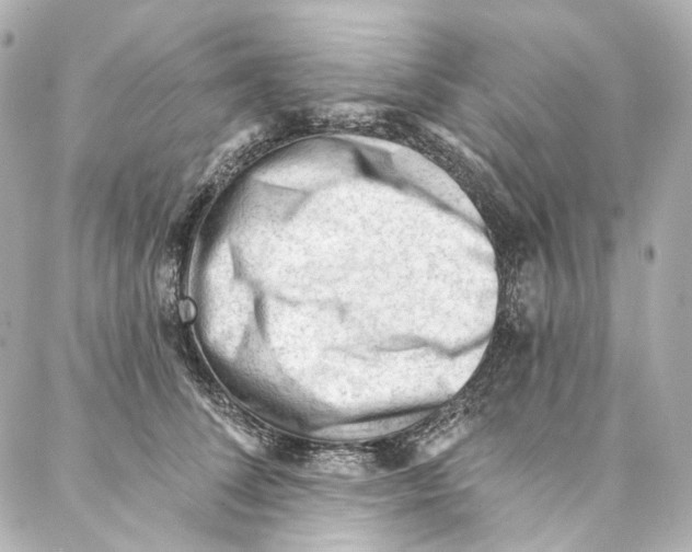 X0000087030708200705141922