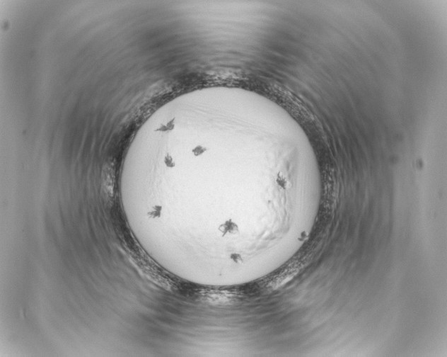 X0000087030710200705141922