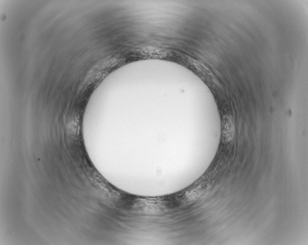 X0000087030713200705141922