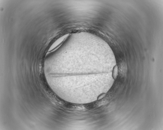 X0000087030715200705141922