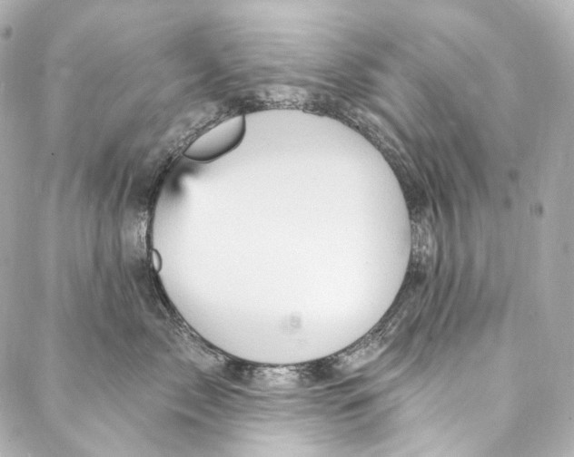 X0000087030717200705141922