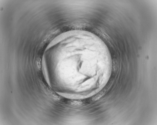 X0000087030718200705141922