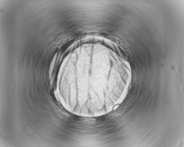 X0000087030719200705141922