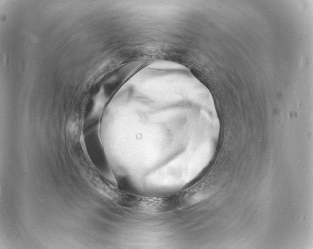 X0000087030720200705141922