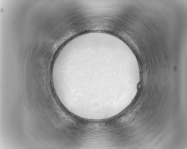 X0000087030721200705141921