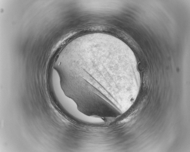 X0000087030722200705141921