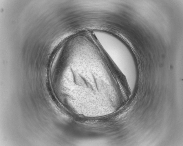 X0000087030725200705141921