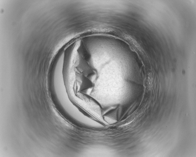 X0000087030726200705141921