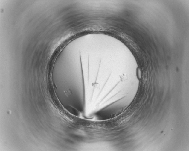 X0000087030727200705141921