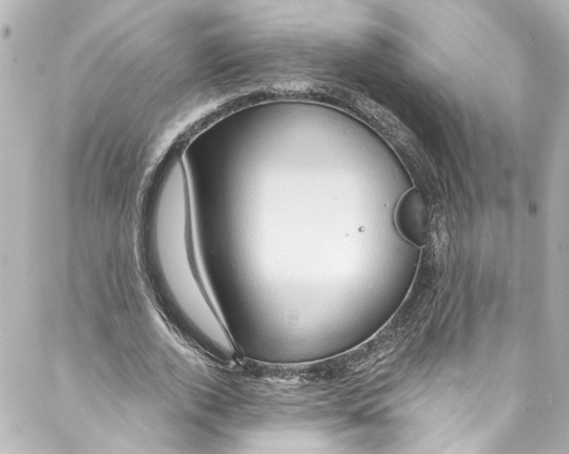 X0000087030728200705141921