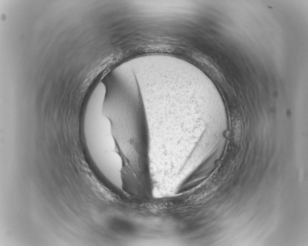 X0000087030729200705141921