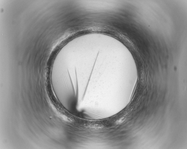 X0000087030730200705141921