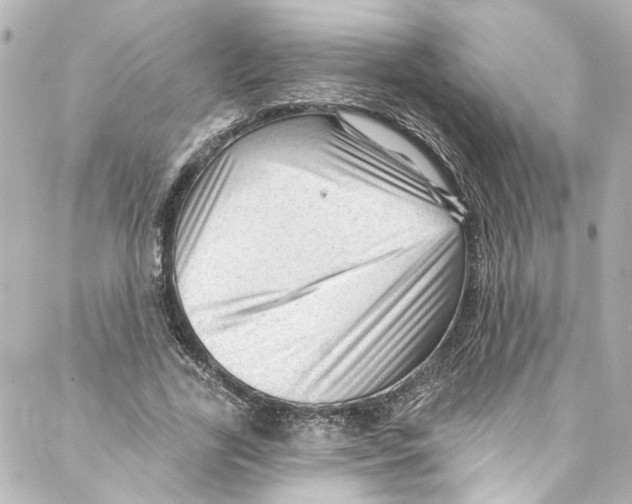 X0000087030731200705141921