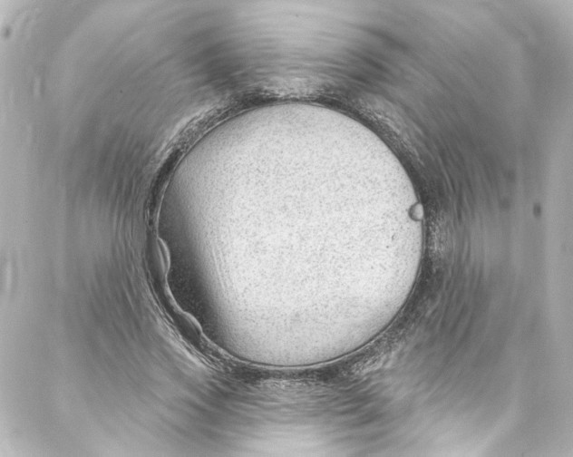 X0000087030733200705141921