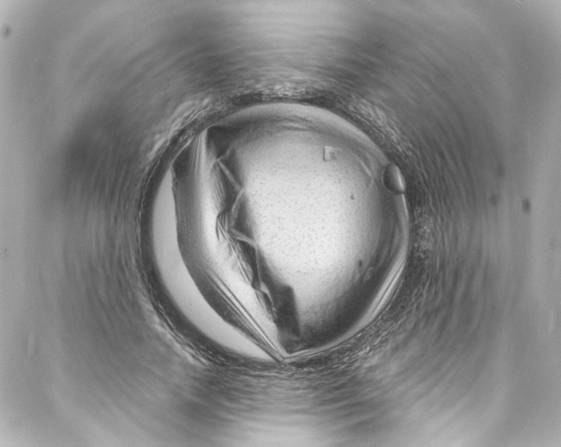 X0000087030738200705141921