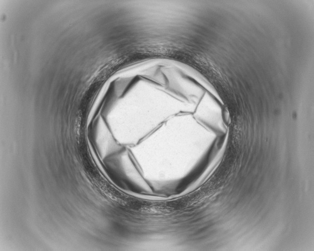 X0000087030739200705141921