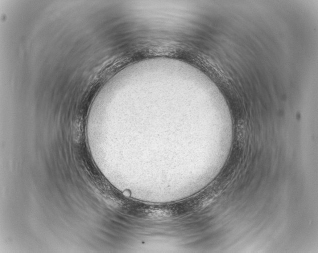 X0000087030741200705141921