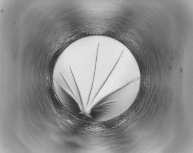 X0000087030743200705141921