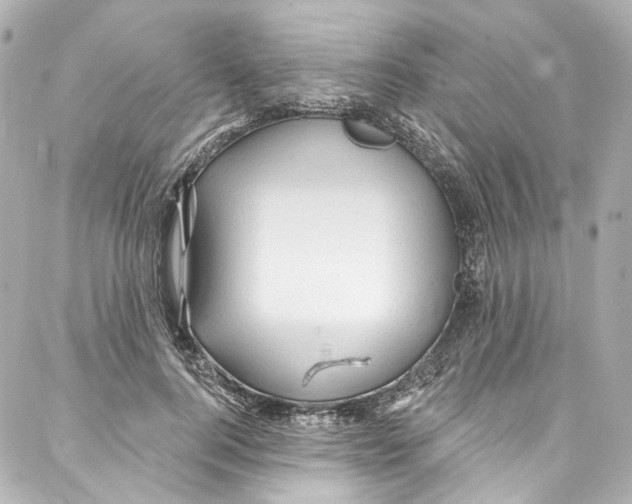 X0000087030744200705141921