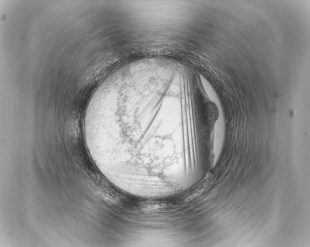 X0000087030746200705141921