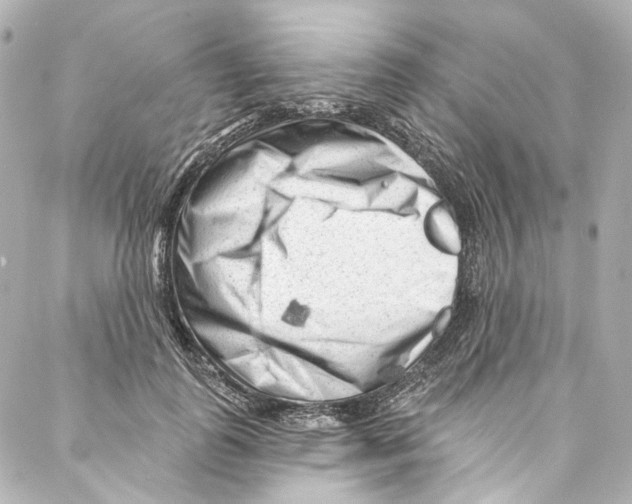 X0000087030747200705141922