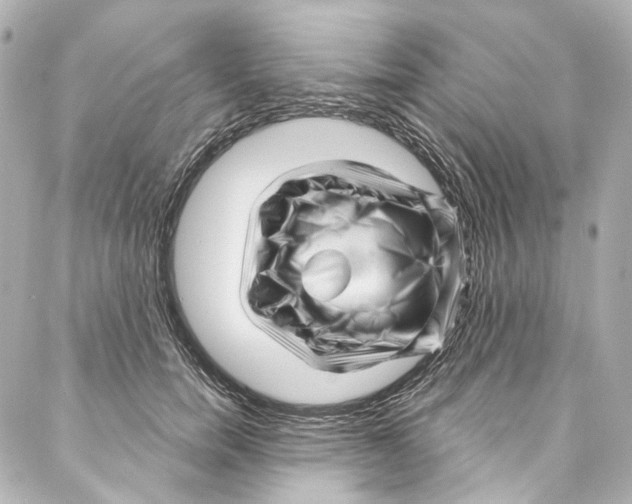 X0000087030750200705141922