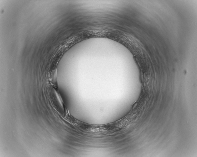 X0000087030752200705141922