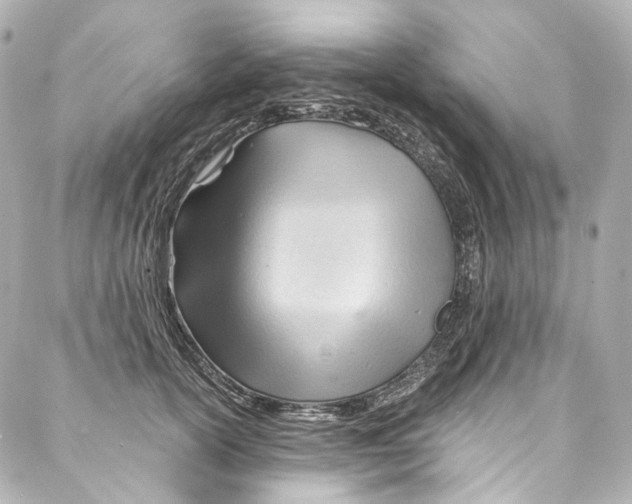 X0000087030754200705141922