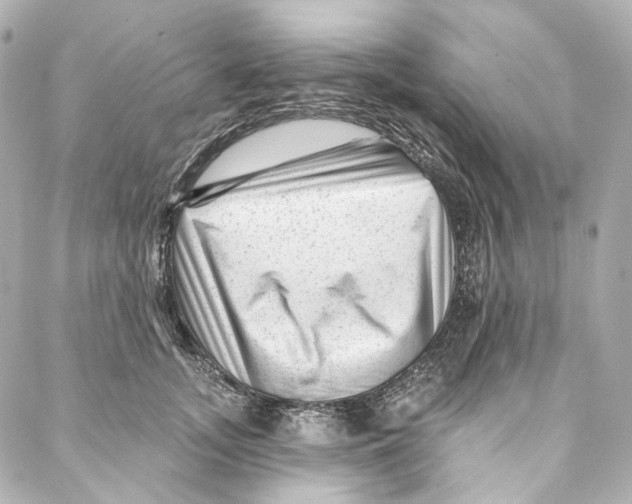 X0000087030755200705141922