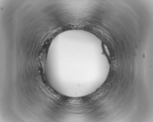 X0000087030756200705141922