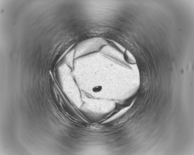 X0000087030758200705141922