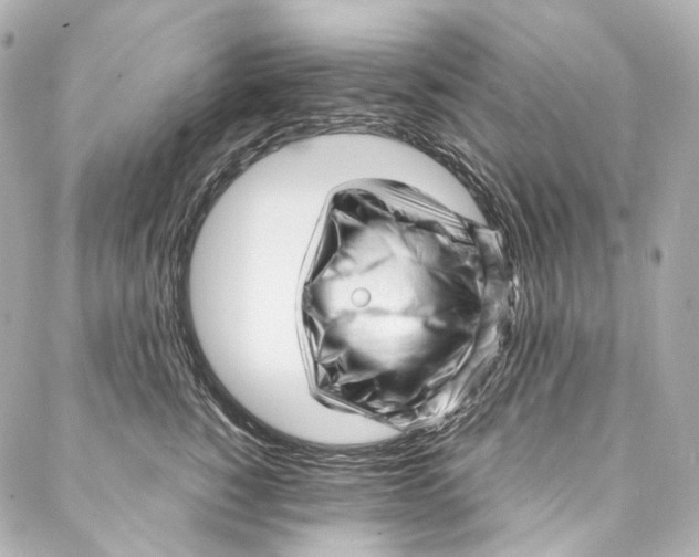 X0000087030760200705141922