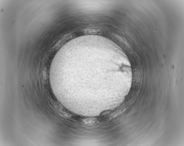 X0000087030761200705141922