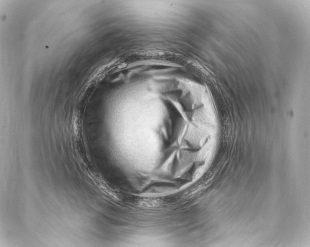 X0000087030762200705141922