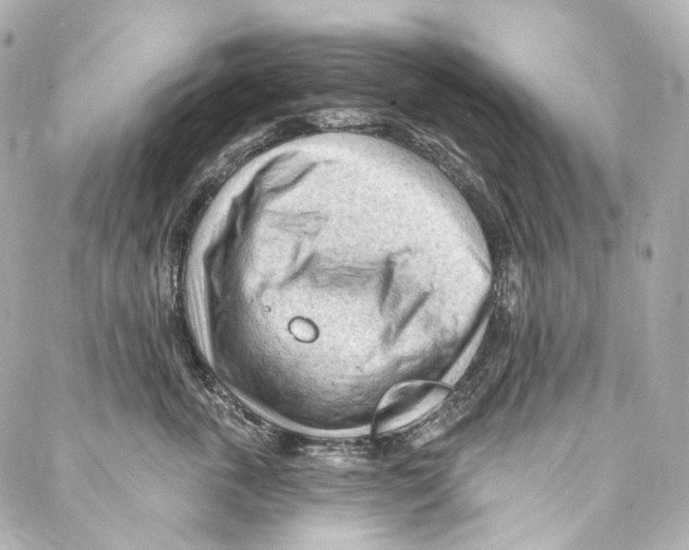 X0000087030763200705141922