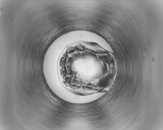 X0000087030766200705141922