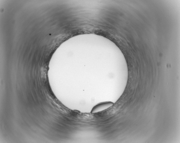 X0000087030768200705141922