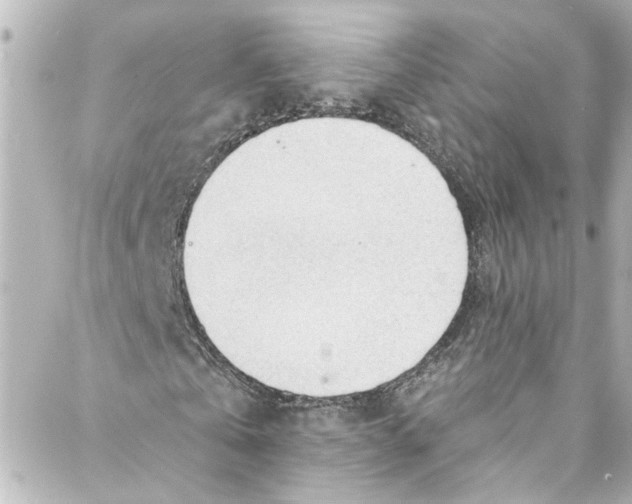 X0000087030769200705141921