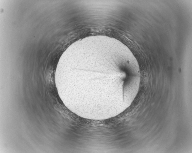 X0000087030770200705141921