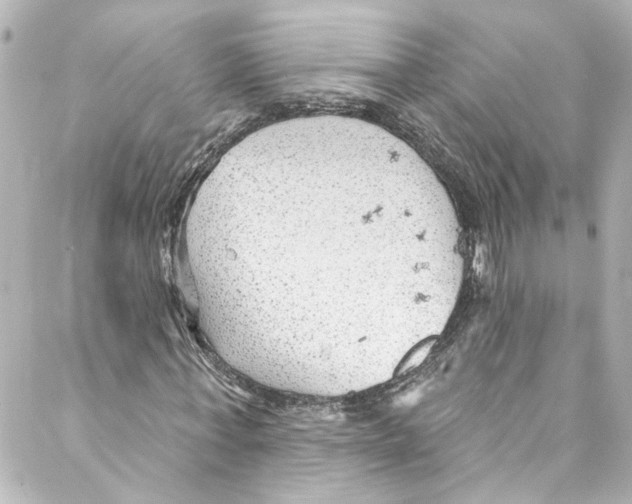 X0000087030771200705141921